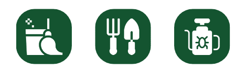 Azienda Multiservizi Roma