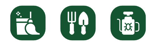 Azienda Multiservizi Roma
